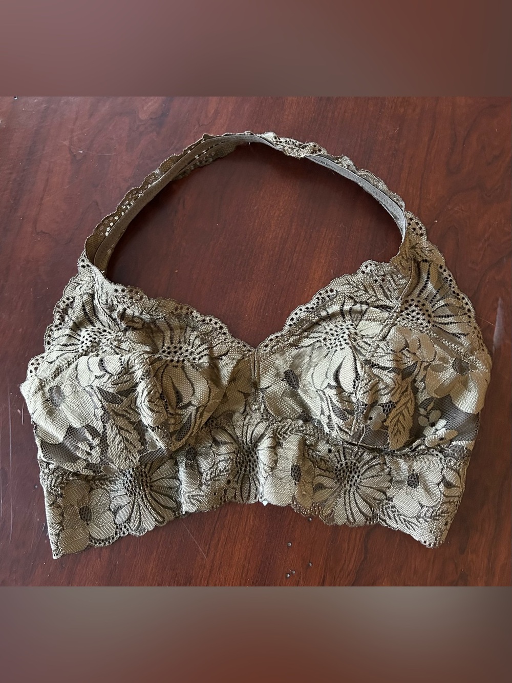 aerie Floral Lace halter Bralette in Olive